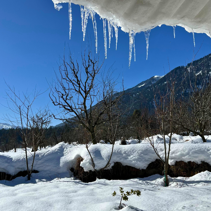 boutique stay in Old Manali